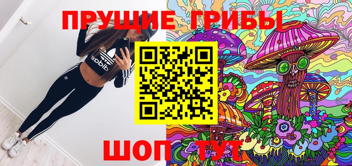Псилоцибиновые грибы Psilocybine cubensis  Вход с VPN  Луховицы 