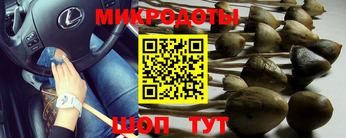 Галлюциногенные грибы прущие грибы Луховицы